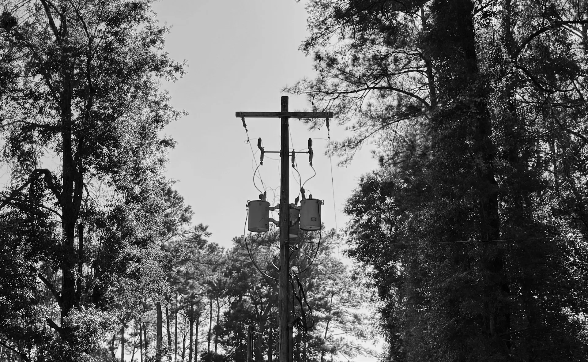 Customer-owned electrical substation and medium-voltage power distribution equipment at dusk