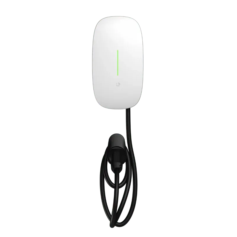 Entogo Caro Plus 11 kW semi-public AC EV charger with MID-certified meter and Type 2 cable