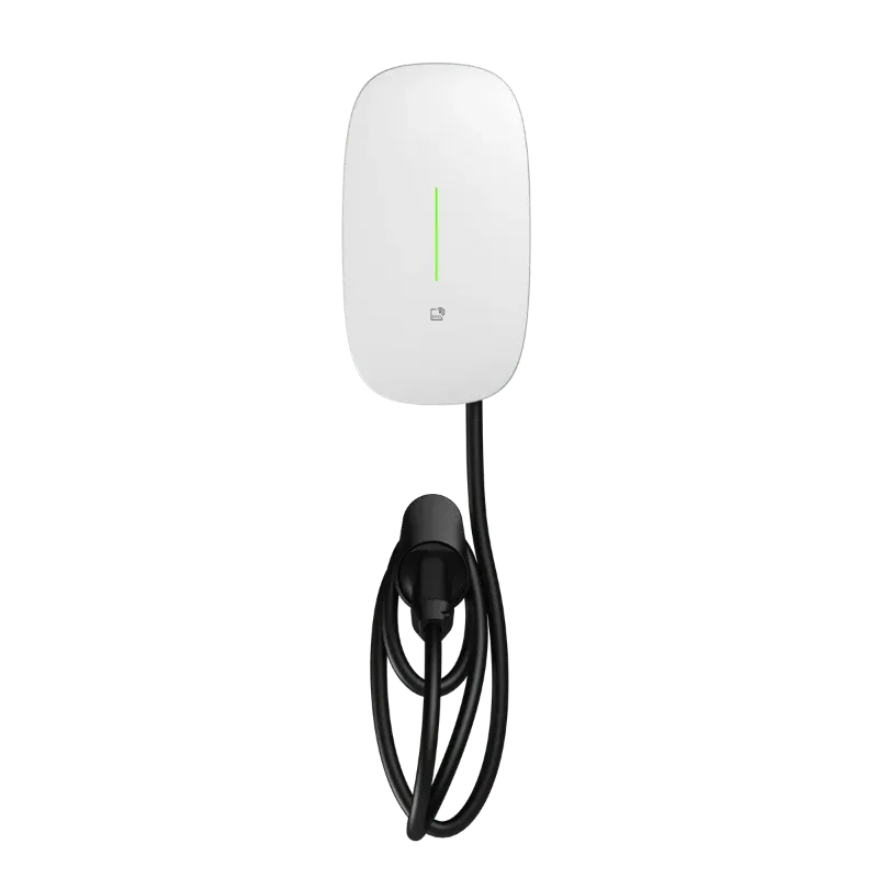 Borne de recharge CA semi-publique Entogo Caro Plus 11 kW avec compteur MID certifié et câble Type 2 — view 10